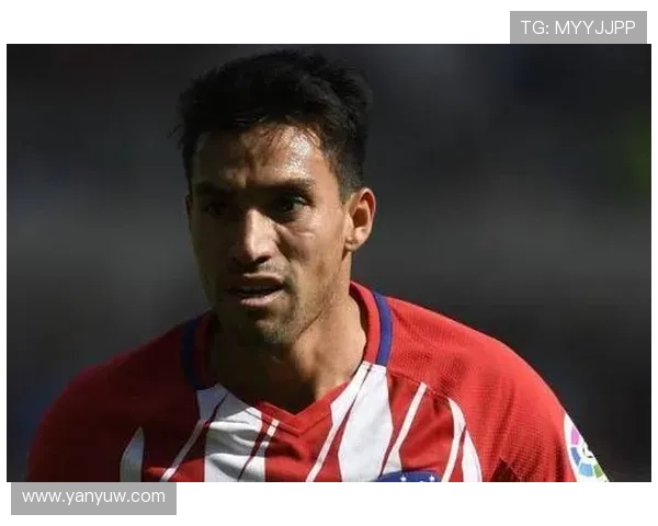 盖坦谈马竞经历：全力以赴但原因难解